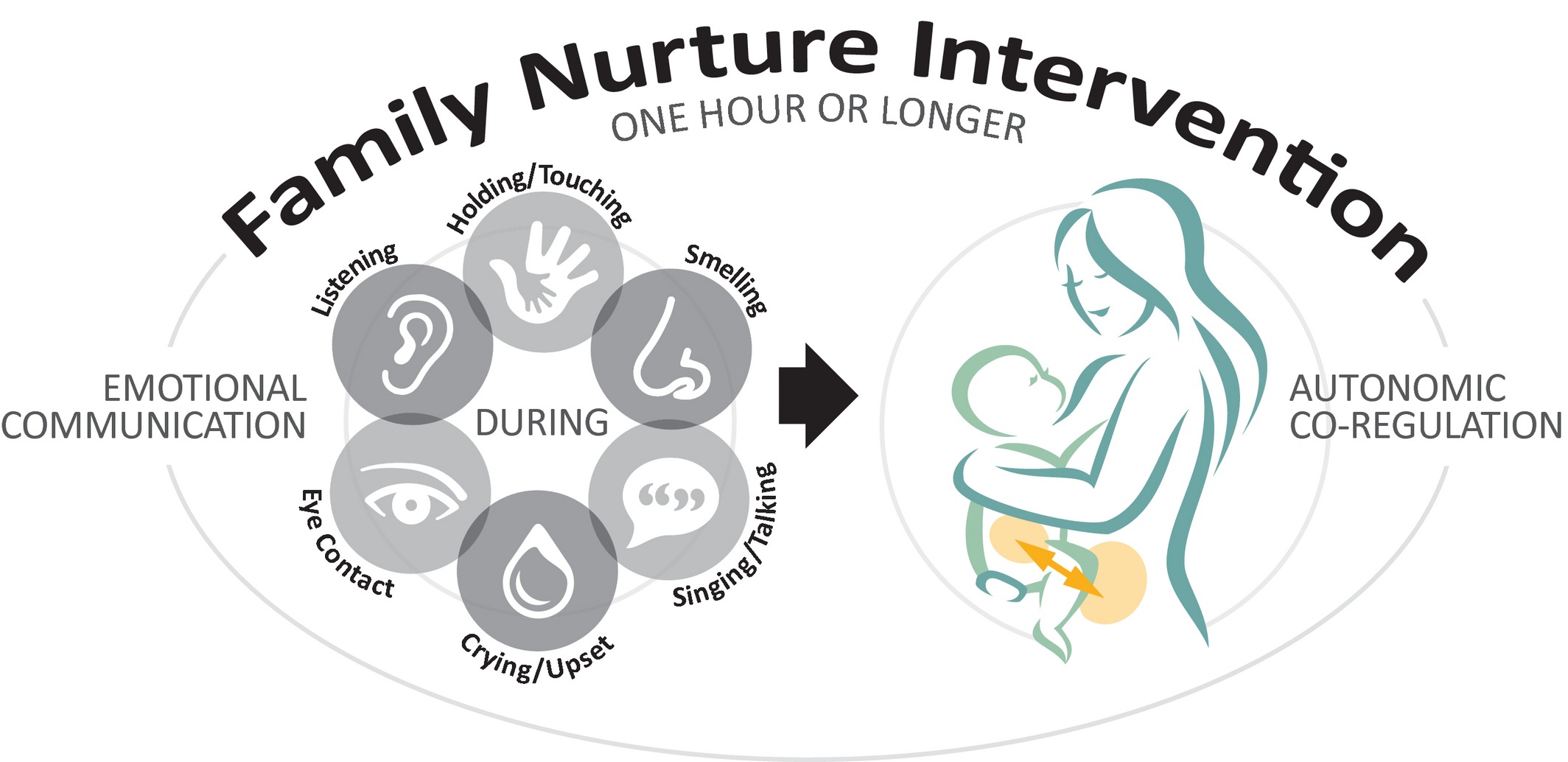 Calming Cycle Theory - Living Systems Counselling