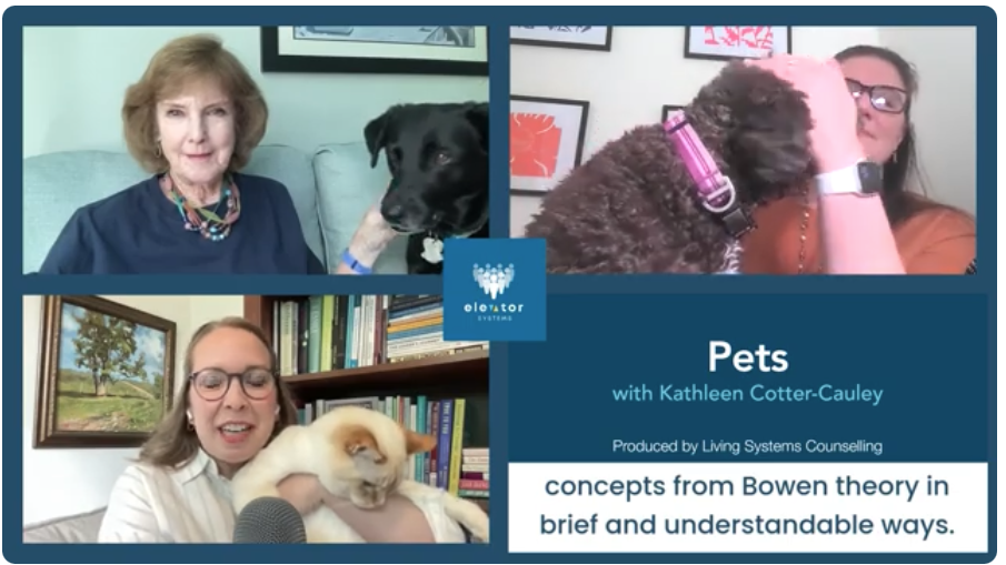 Elevator Systems E3 S3 - Pets in the System