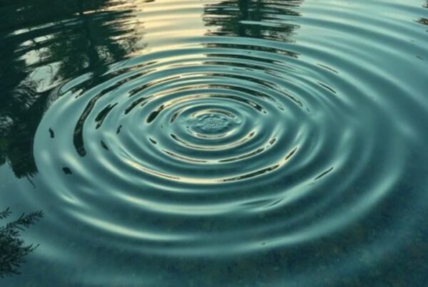 ripples effects of the family trajectory